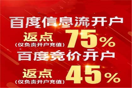 某电商平台的SEM优化全流程案例分享